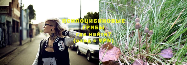 мескалин Арсеньев