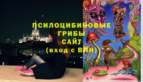 мескалин Арсеньев