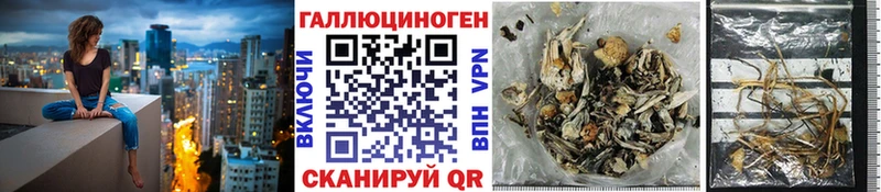 Галлюциногенные грибы GOLDEN TEACHER  Пушкино 