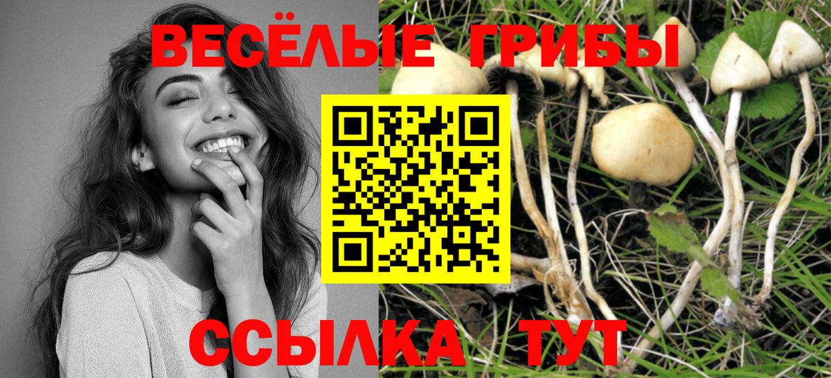 Псилоцибиновые грибы Cubensis  Вход с VPN  Пушкино 