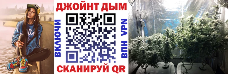 где продают   Пушкино  Канабис конопля 